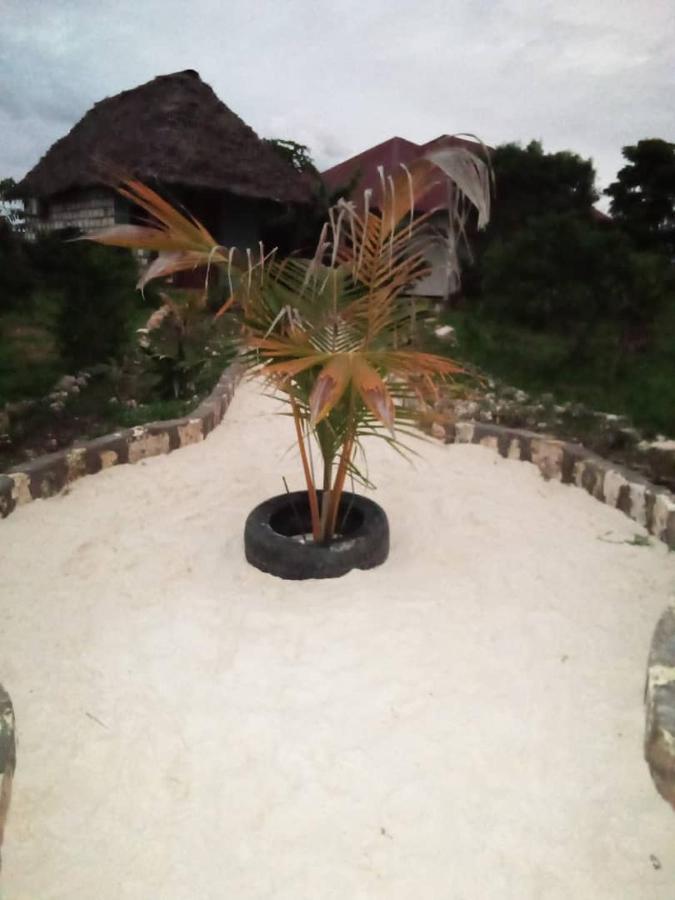 Marashi Villa Nungwi Kültér fotó