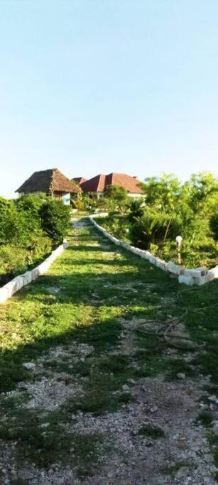 Marashi Villa Nungwi Kültér fotó